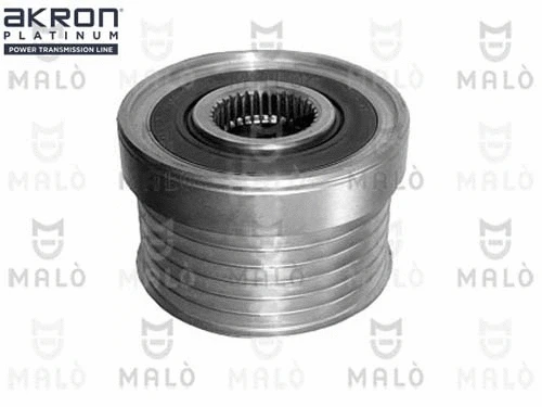 Alternator Freewheel Clutch (1580174)