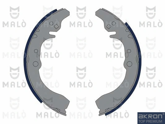 Brake Shoe Set (1390319)
