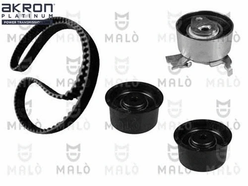Timing Belt Kit (1551062)