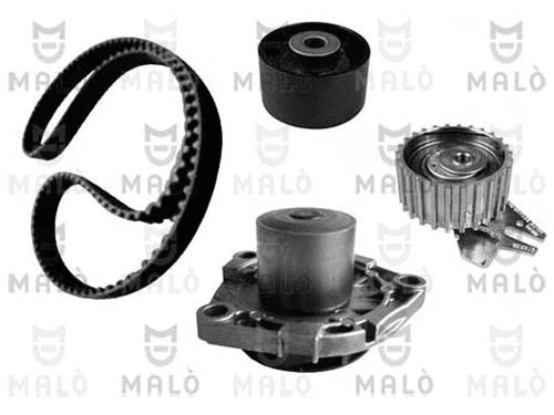 Water Pump & Timing Belt Kit (1555038)