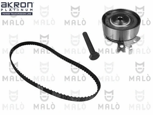 Timing Belt Kit (1551048)