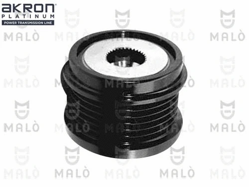 Alternator Freewheel Clutch (1580163)