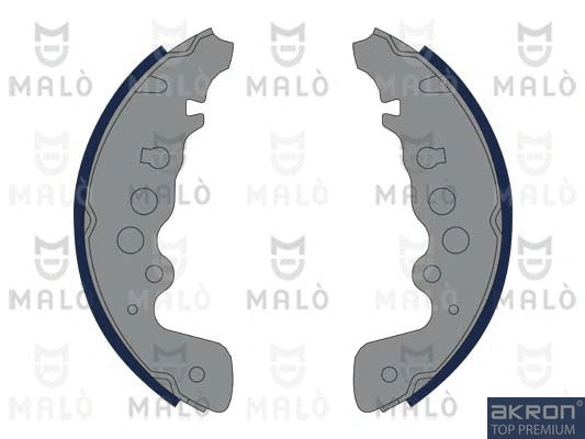Brake Shoe Set (1390339)