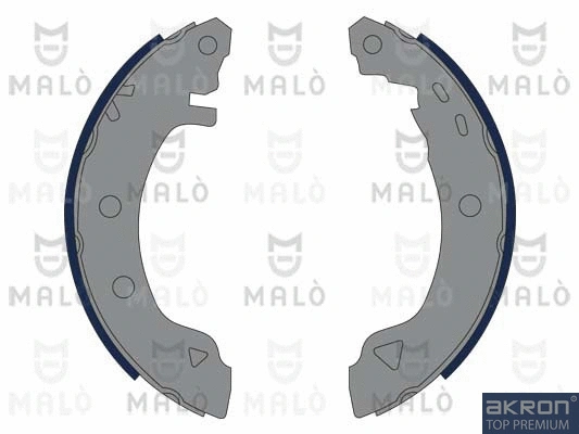 Brake Shoe Set (1390068)