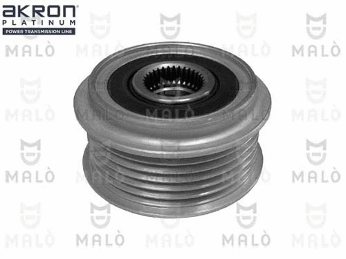 Alternator Freewheel Clutch (1580169)