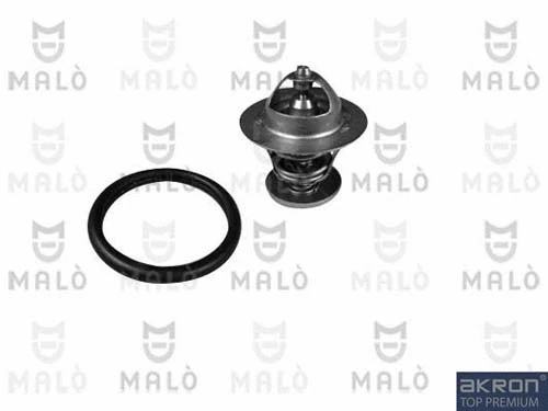 Thermostat, coolant (TER006)