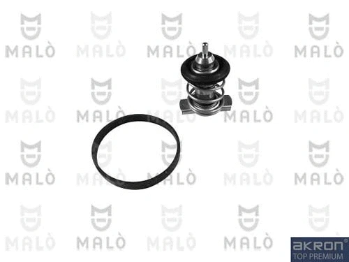 Thermostat, coolant (TER467)