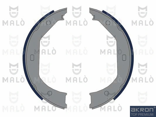 Brake Shoe Set, parking brake (1390014)