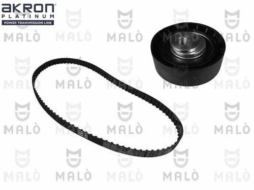 Timing Belt Kit (1551035)