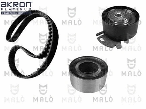 Timing Belt Kit (1551025)