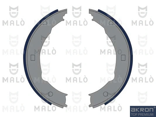 Brake Shoe Set, parking brake (1390235)