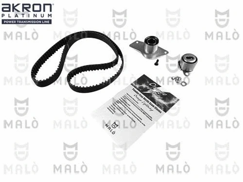 Timing Belt Kit (1551047)