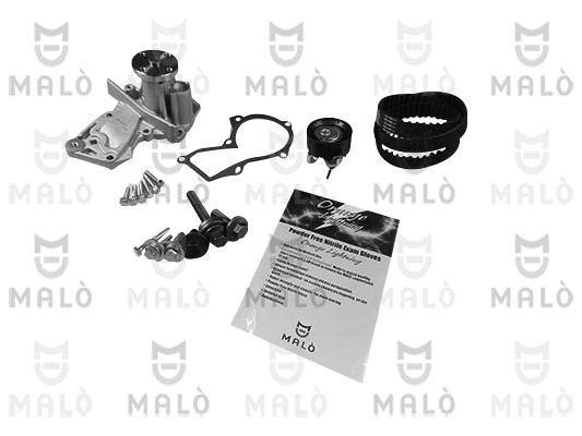 Water Pump & Timing Belt Kit (1555067)