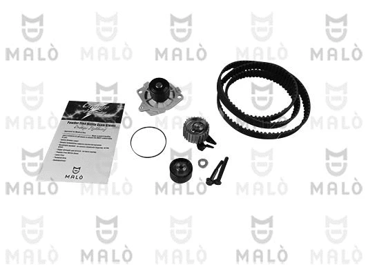 Water Pump & Timing Belt Kit (1555001)