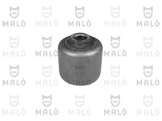 Mounting, control/trailing arm (309)