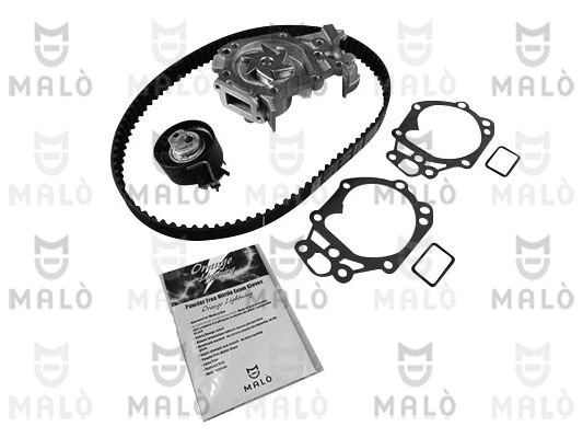 Water Pump & Timing Belt Kit (1555066)