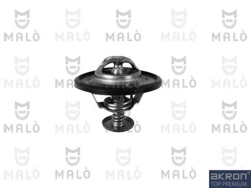Thermostat, coolant (TER166)