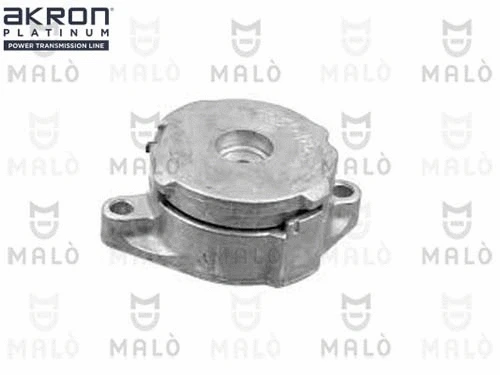 Tensioner Lever, V-ribbed belt (1570109)