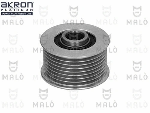 Alternator Freewheel Clutch (1580041)