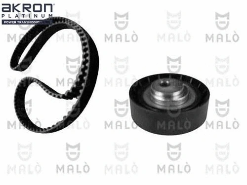 Timing Belt Kit (1551015)