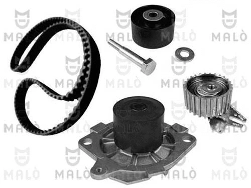 Water Pump & Timing Belt Kit (1555034)