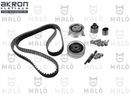 Timing Belt Kit (1551030)