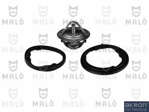 Thermostat, coolant (TER290)