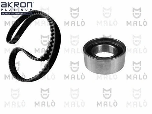 Timing Belt Kit (1551006)