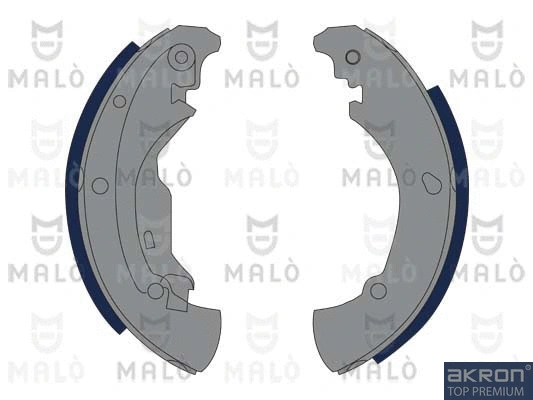 Brake Shoe Set (1390069)
