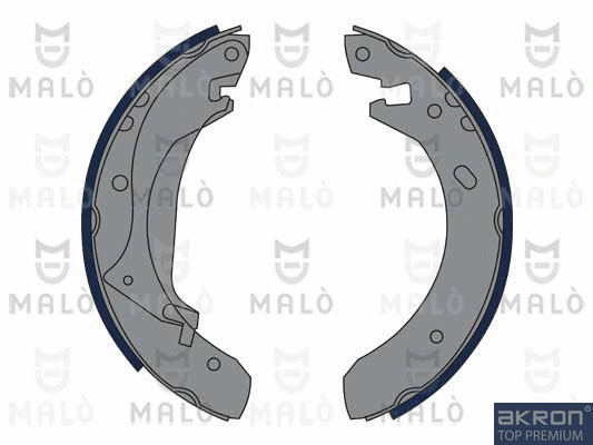 Brake Shoe Set (1390253)