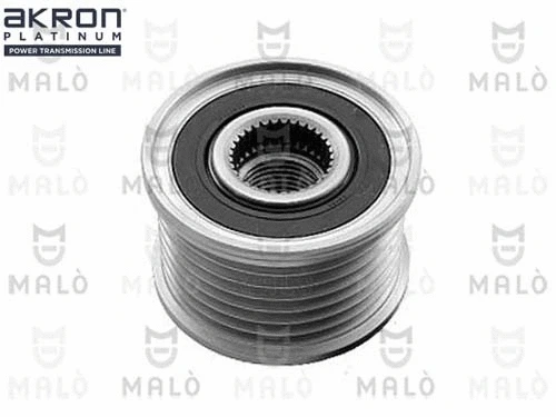 Alternator Freewheel Clutch (1580124)