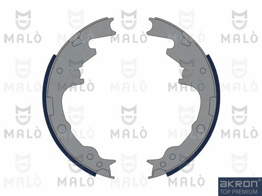 Brake Shoe Set (1390348)
