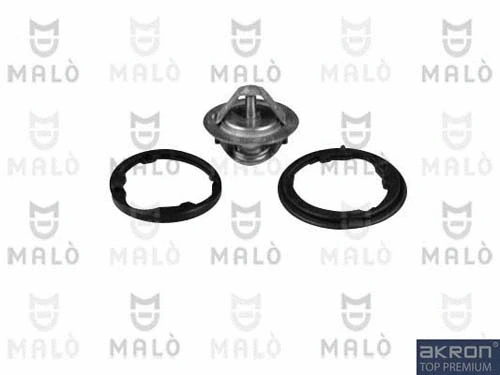 Thermostat, coolant (TER320)
