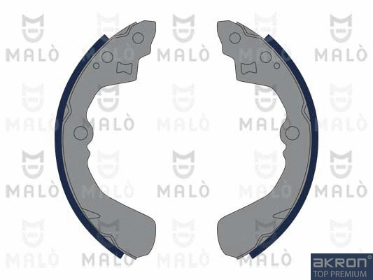 Brake Shoe Set (1390318)