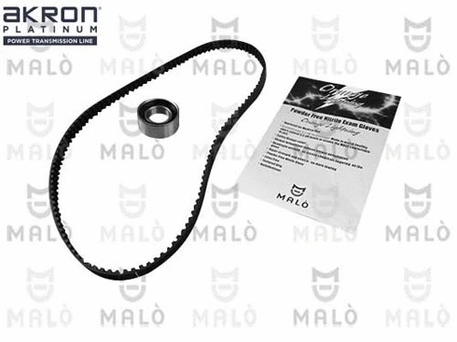 Timing Belt Kit (1551082)