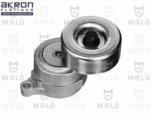 Tensioner Lever, V-ribbed belt (1570469)