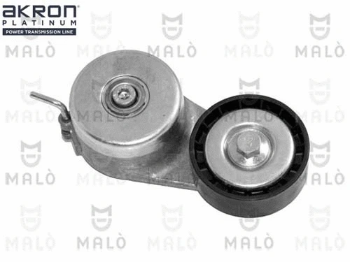 Tensioner Lever, V-ribbed belt (1570303)