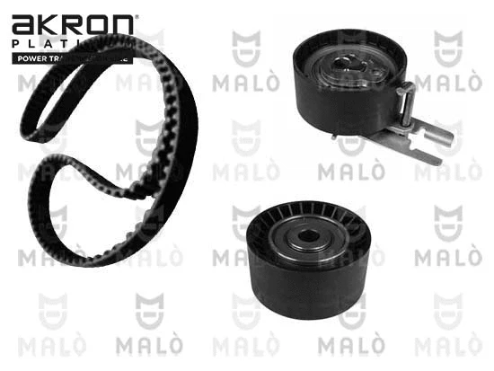 Timing Belt Kit (1551004)