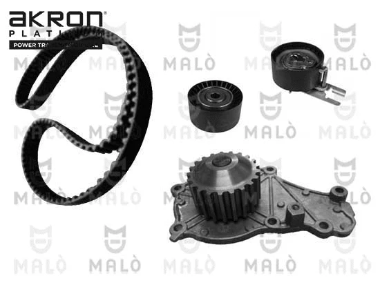 Water Pump & Timing Belt Kit (1555004)