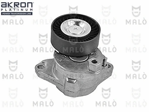 Tensioner Lever, V-ribbed belt (1570412)
