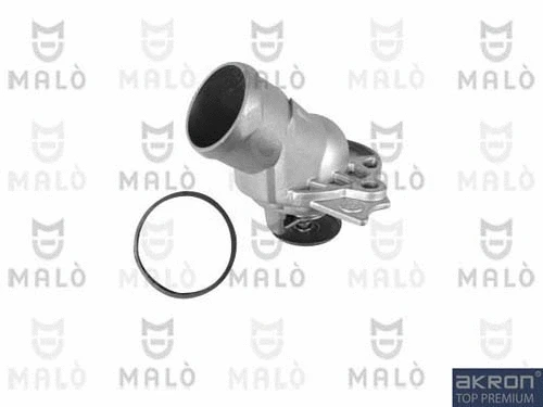 Thermostat, coolant (TER317)