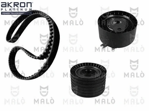 Timing Belt Kit (1551052)