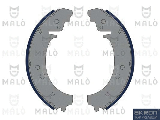 Brake Shoe Set (1390056)