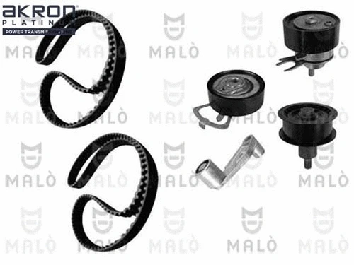 Timing Belt Kit (1551049)