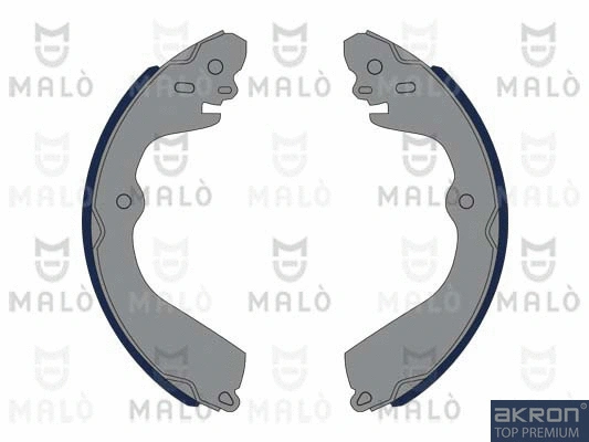 Brake Shoe Set (1390054)