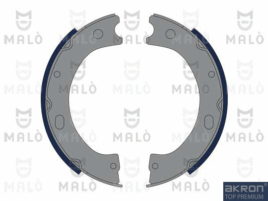 Brake Shoe Set, parking brake (1390050)