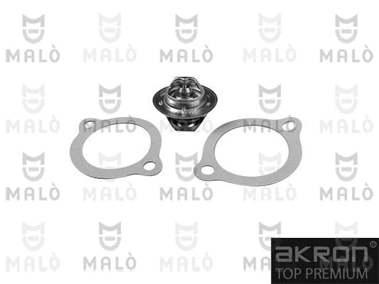 Thermostat, coolant (TER305)