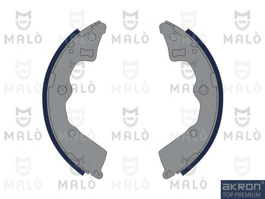 Brake Shoe Set (1390208)
