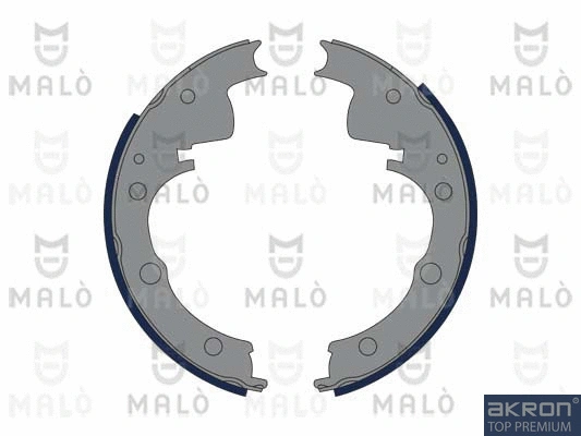 Brake Shoe Set (1390067)
