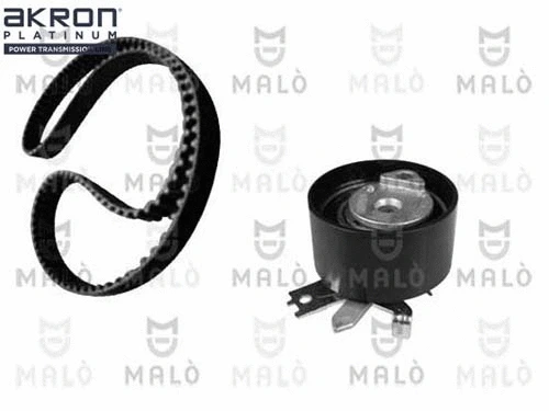 Timing Belt Kit (1551012)